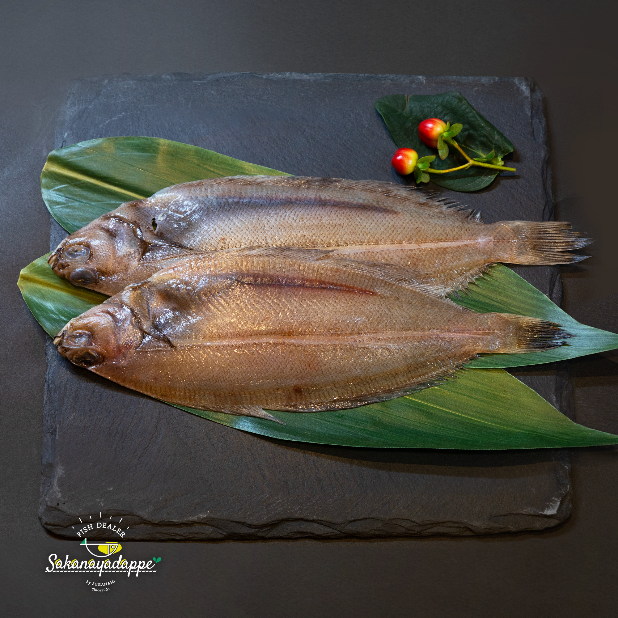 やきざかなさん専用 やきざかなさん専用 やきざかなさん専用 やきざかなさん専用 ZX｜製品